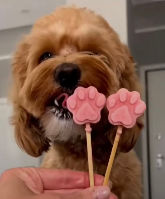 GOMITAS PARA PERRO